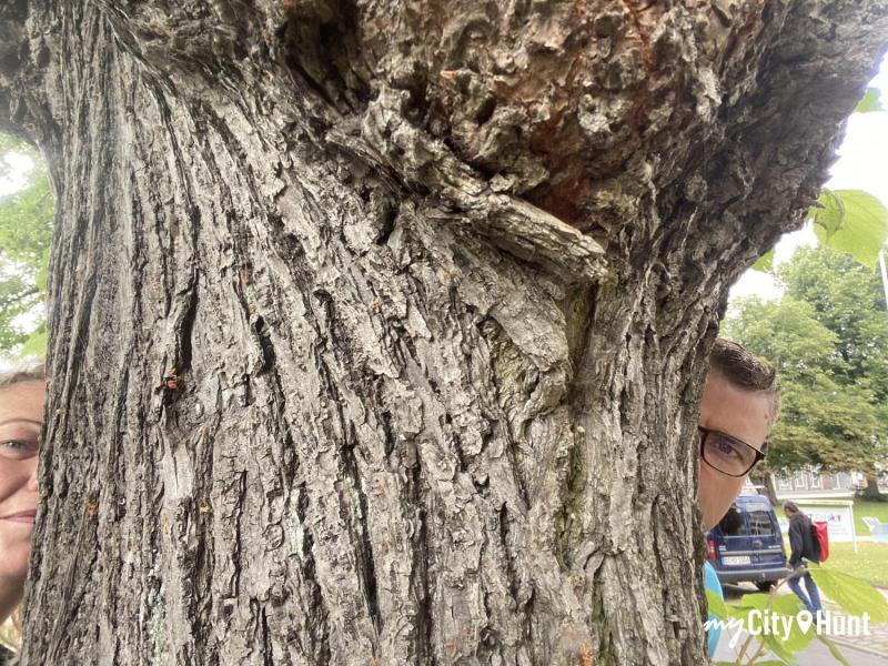 myCityHunt Schnitzeljagd 14