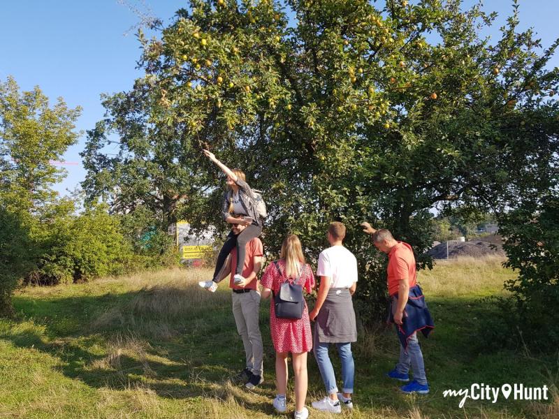 myCityHunt Schnitzeljagd 9