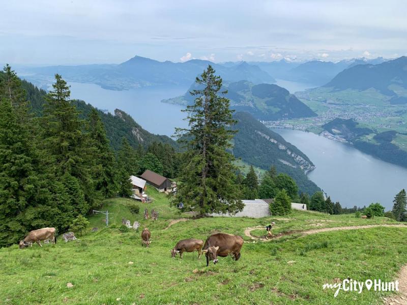 myCityHunt Schnitzeljagd 11