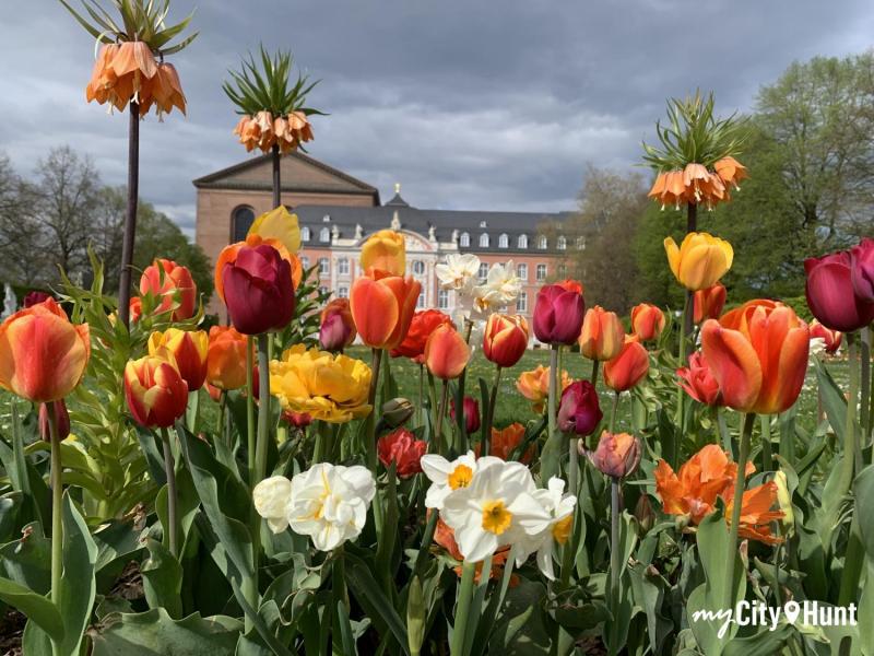 myCityHunt Schnitzeljagd 14